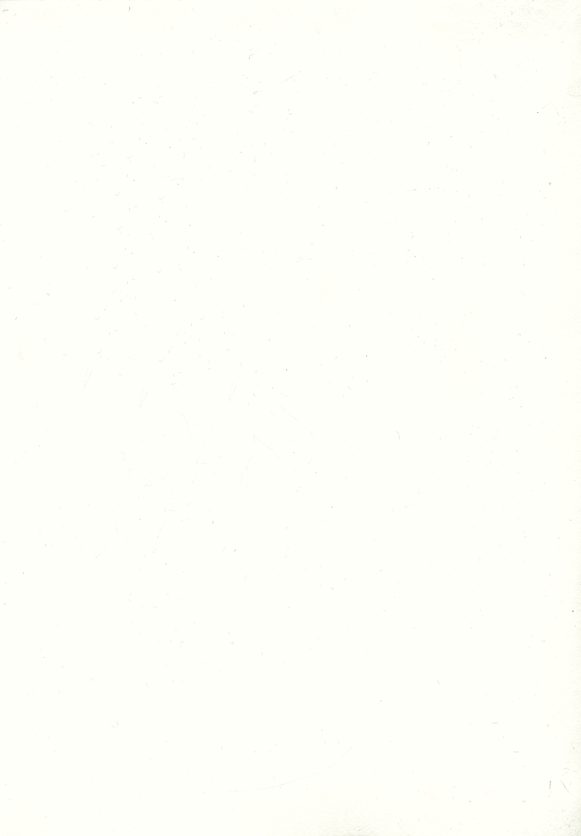 michal malolepszy, nothing about us